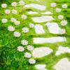 1Set Artificial Flower Micro Landscape Potted Plant Decoration Lawn Decoration Cloth Outdoor Landscape Daisy Card Insertion