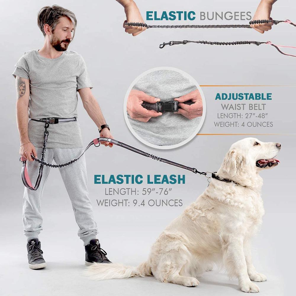

Reflective Double Handle Retractable Dog Leash for Running