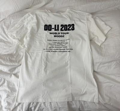 Cho Seung-yeon Woodswoods 2023 Konzert MD Kurzarm-T-Shirt Merchandise Gebraucht