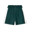 Li Ning X Palace Museum Collaboration Chinese Culture Series Casual Loose Printed Sports Shorts Women Shorts Forest-Green AKSV696-4