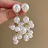 Luxury High-End Temperament Winter Earrings 2026 Minimalist Super Fairy Beaded Fringe Atmospheric Versatile Fashion Studs