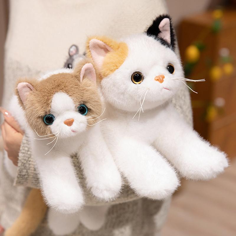45/55cm Cute Simulation Ragdoll Cat Plush Toys Soft Stuffed 8 Colors Kitten Model Fake Cat Realist Animals Girls Valentine's Day