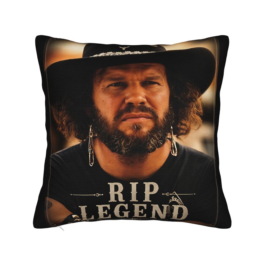 In Memory Of David Allan Coe 1939- Pillow Cover Retro Portrait Tribute Soft Cushion Cover Pillow Case For Living Room Chair
