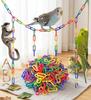 100Pcs Rainbow Geometric Chain Buckle Pet Training Sensory Toy Kids Puzzle Building Blocks C-shaped Hook Interactive Play Gift