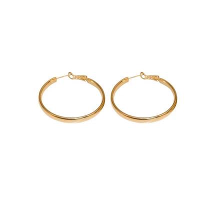 Smooth Large Minimalist and Niche Fashion Earrings