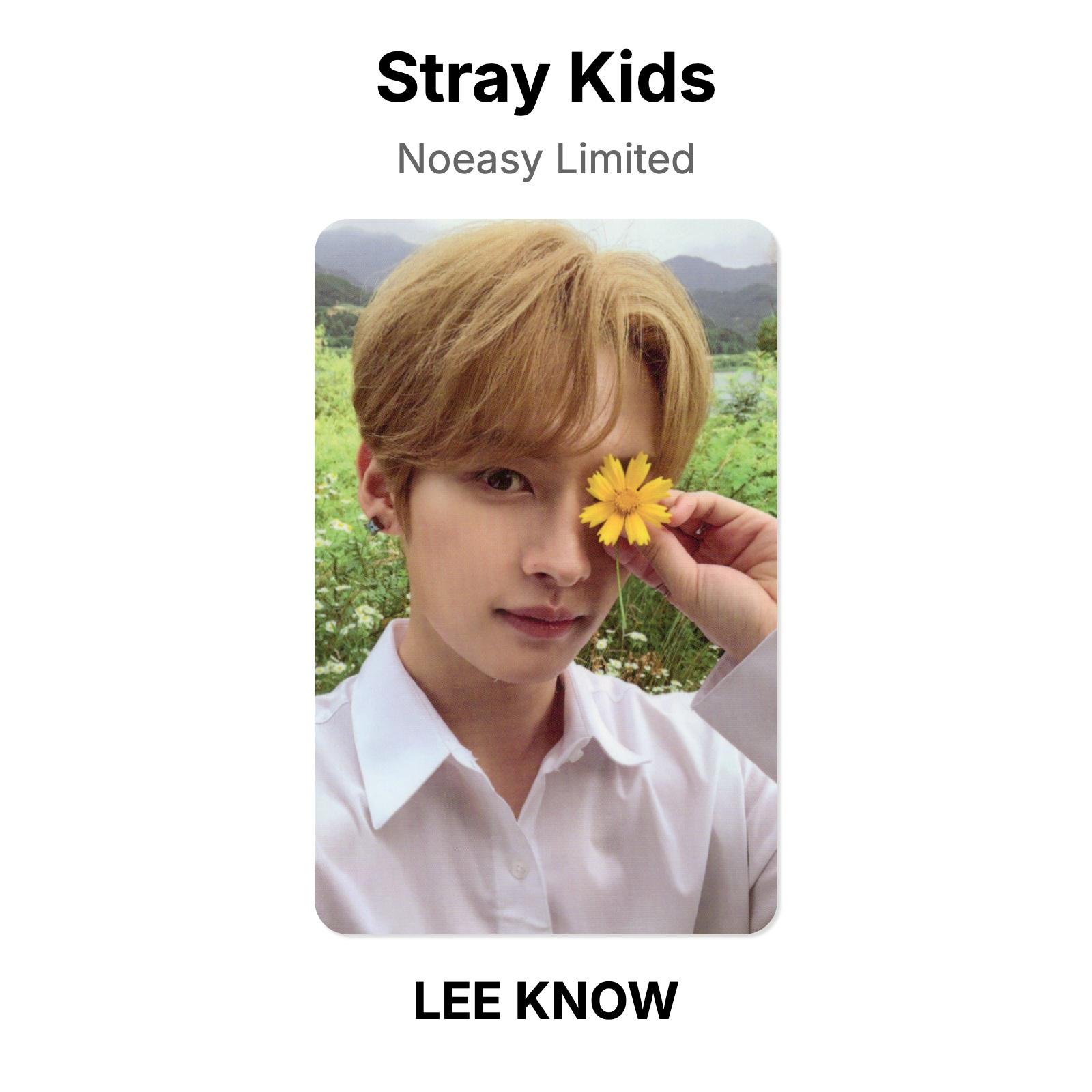 Stray Kids Noeasy Лимитированная Официальная Фотокарточка LEE KNOW beige