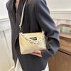 Acrylic chain trend simple women's bag 2025 new fashion trend shoulder bag retro fashion oblique bag women