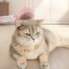 Pet Hair Grooming Fogging Comb Cats Remove Long Short Hair Cats Massaging Comb for Gentle Grooming