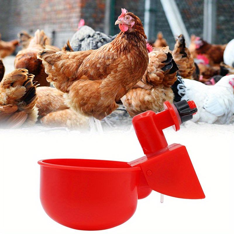 10Pcs Chicken Drinking Bowl Drinking Water Quail Poultry Automatic Water Dispenser Duck and Pigeon Free Range Chicken