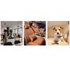 Random 45Cmx45Cm Plusflower Pet Electric Pad Blanket Heat Heated Heating Mat Dog Cat Bed Waterproof