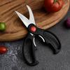 Three-piece Multifunctional Kitchen Scissors Set: Chicken Bone, Handcraft & Stainless Steel Culinary Scissors