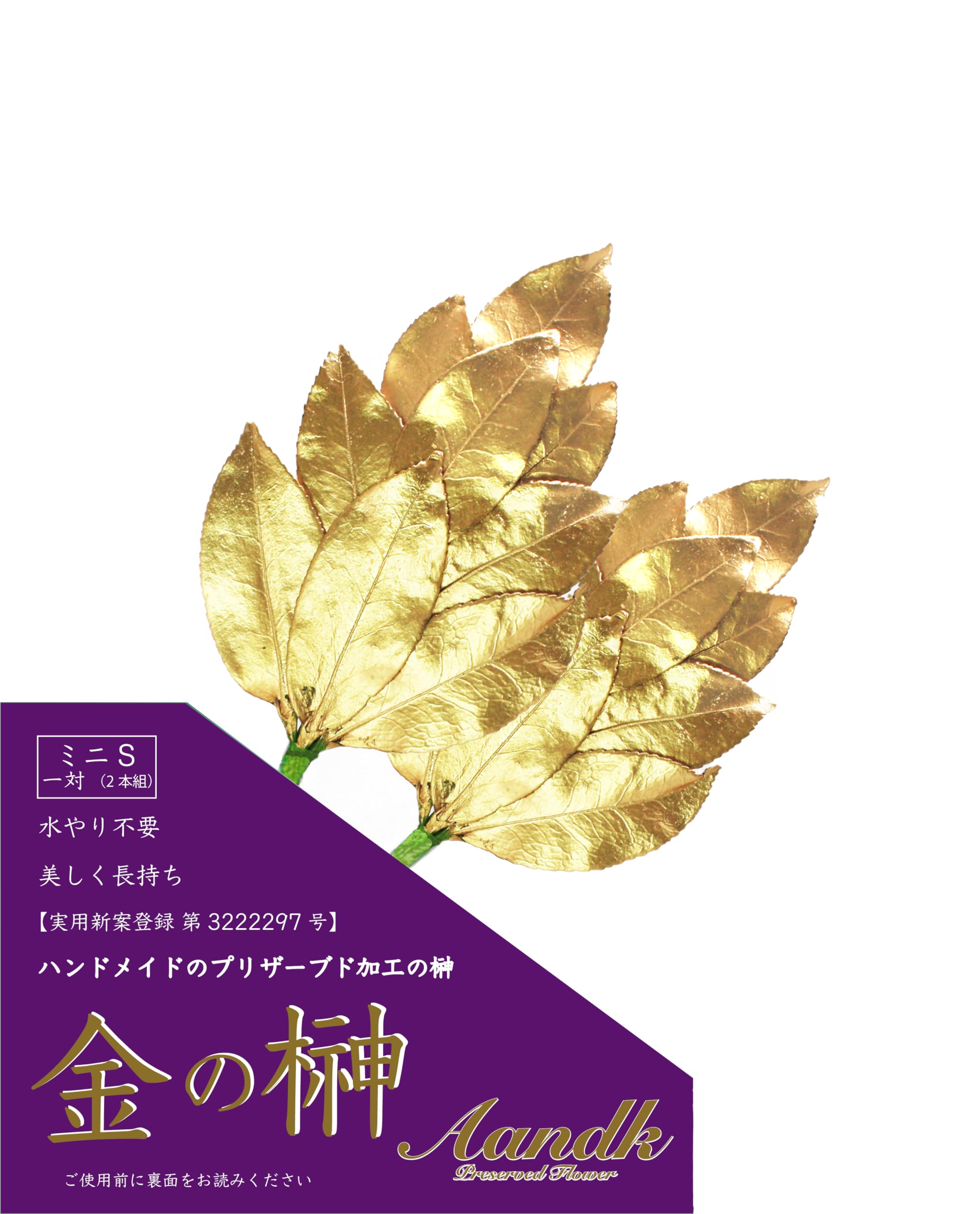 

[A&K] Golden Sakaki Tree, Mini Small, Preserved, Made with Fresh Leaves (Japanese Camellia Sasanqua Leaves) Utility Model Registration No. 3222297.