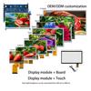 TFT Lcd 4.3 5 5.5 7 8 9 10.1 Inch Mipi MCU RGB Small Ips Lcd Touch Screen  Display Modules