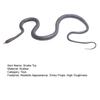 40" S-shaped Snake Prank Toy Realistic Rubber Snake Snake Model Simulated Bent Tricky Teasing Friends Props Kids
