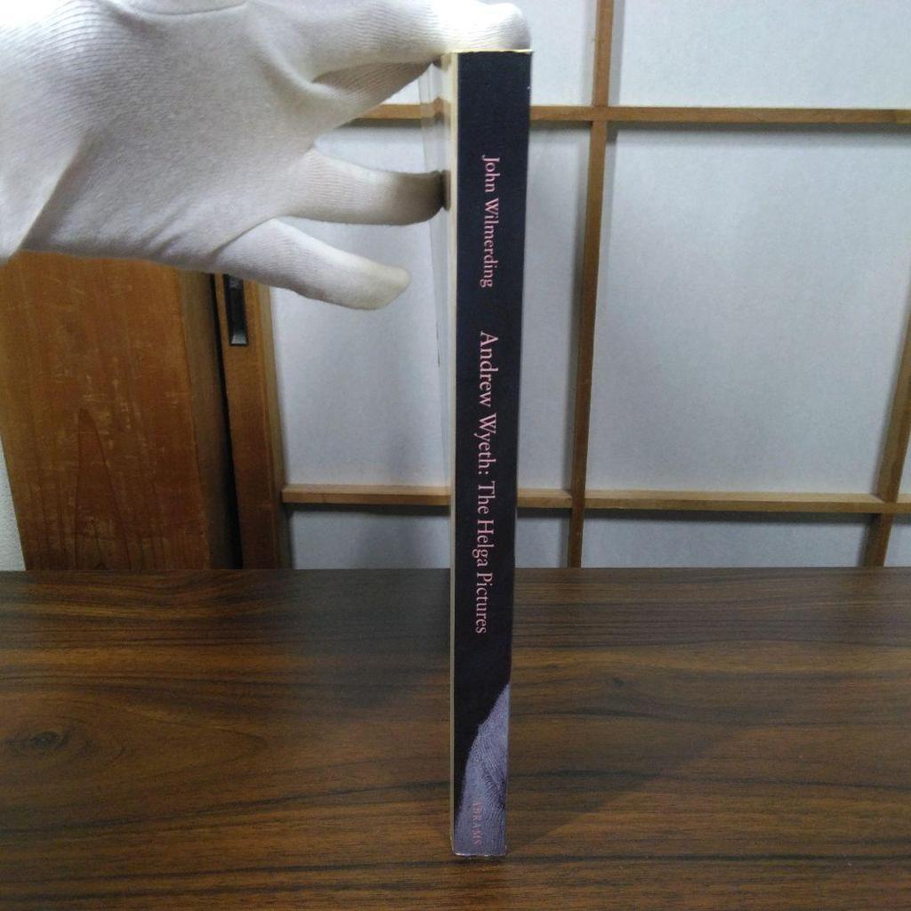 [USED] Andrew Wyeth The Helga Pictures English Book Art Collection