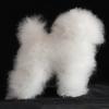 Modello Cane Peluche Capelli Morbidi Taglio di Esercitazione Animale Riempito Capelli Finti Professionali Prodotti per Cani del Petshop Accessori per Modelli