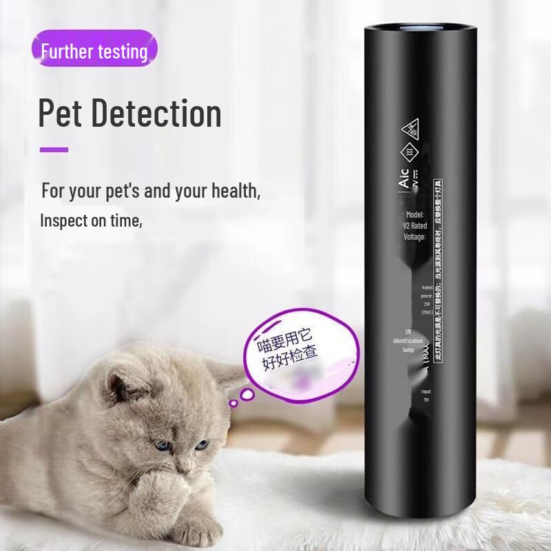 Portable Rechargeable UV Blacklight Flashlight