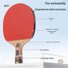 DHS H7006 Professional 7-Star Table Tennis Racket