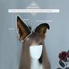 Simulation Cosplay Bärtiger Wolf Haarreif Plüsch Kopfbedeckung Haar Accessoires Pelzig Flauschig Halloween Party Bestienohr Haarreif