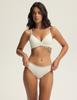 Collige Bloovii Padded Bra