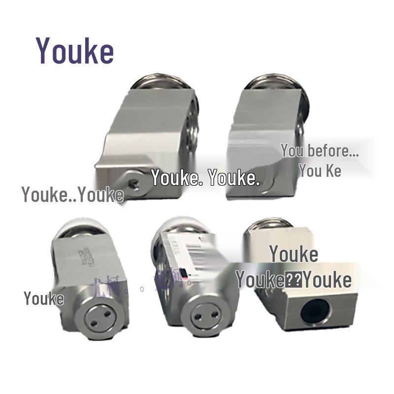 Youke Expansion Valve