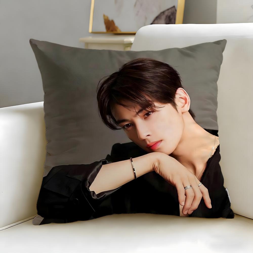popular actor Cha Eun Woo Cushion Cover Soft  EasyWash Pillow Case  Versatile for Couch Bed Travel and Office