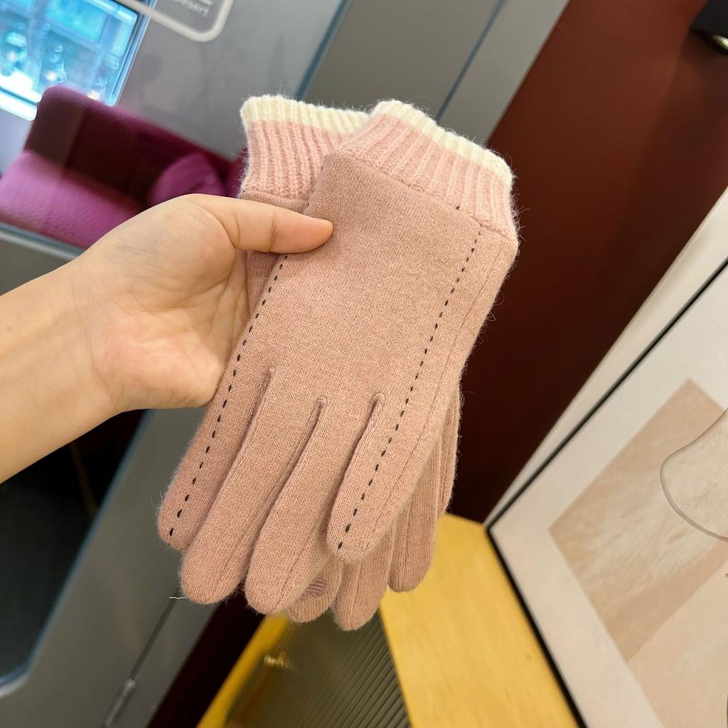 Warm Gloves for Women In Autumn and Winter Korean Fashion Touch Screen Plus Velvet and Thickened Cycling Color Matching Cold-proof Velvet Labeling