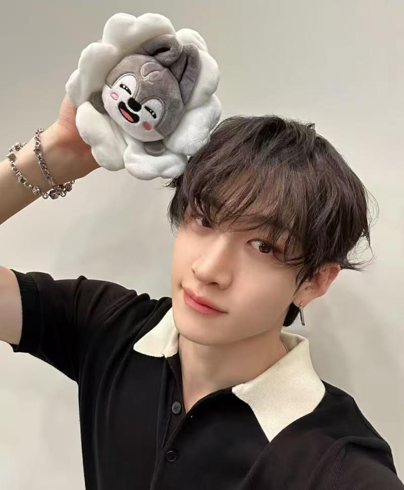SKZOO Straykids Flower Toy Flush Doll Felix Lee Know Han Hyunjin