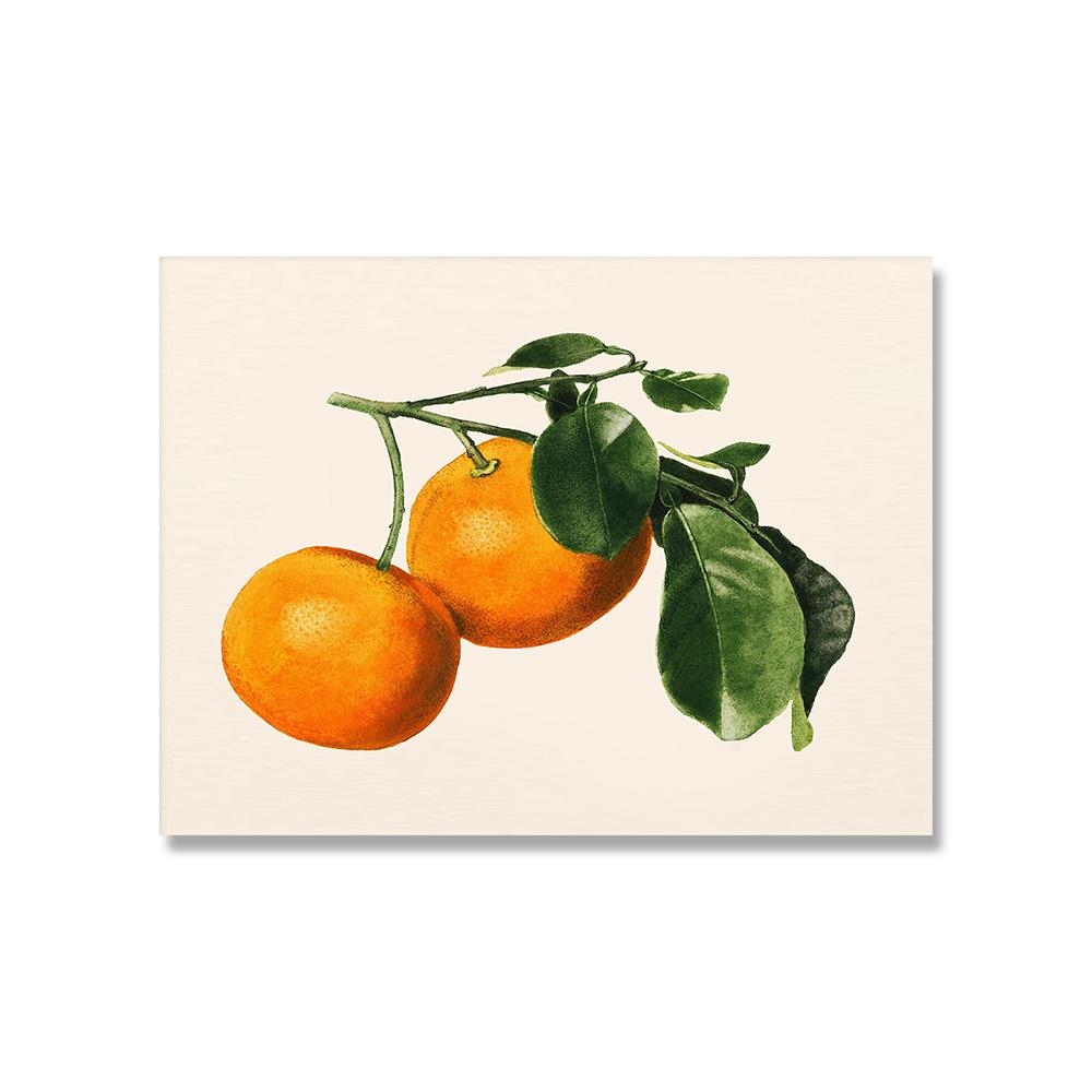 Vintage Retro Fruit Poster Avocado Strawberry Scandinavian Canvas Painting Wall Art Pictures Prints for Kitchen Room Decor