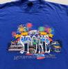 Vintage 90s STONE MOUNTAIN PARK GEORGIA T-Shirt LARGE Soft Nature Monument