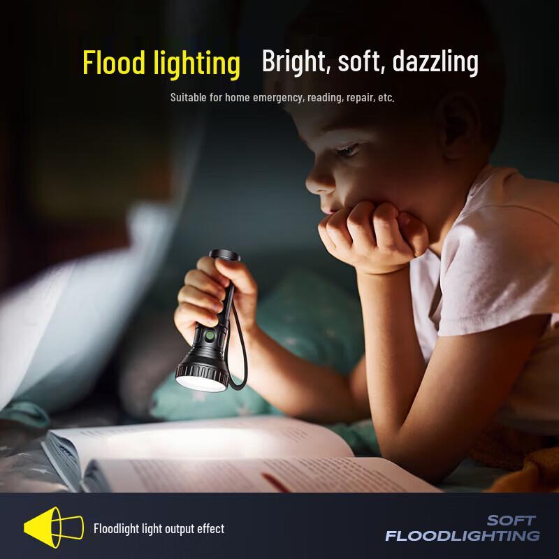 Philips SFL1252/93 Rechargeable LED Flashlight