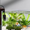 Mini Aquarium Heater Fish Tank Aquatic Heater Submersible Thermostatic Heater Adjustable Temperature 18-34°C Suitable for 2L