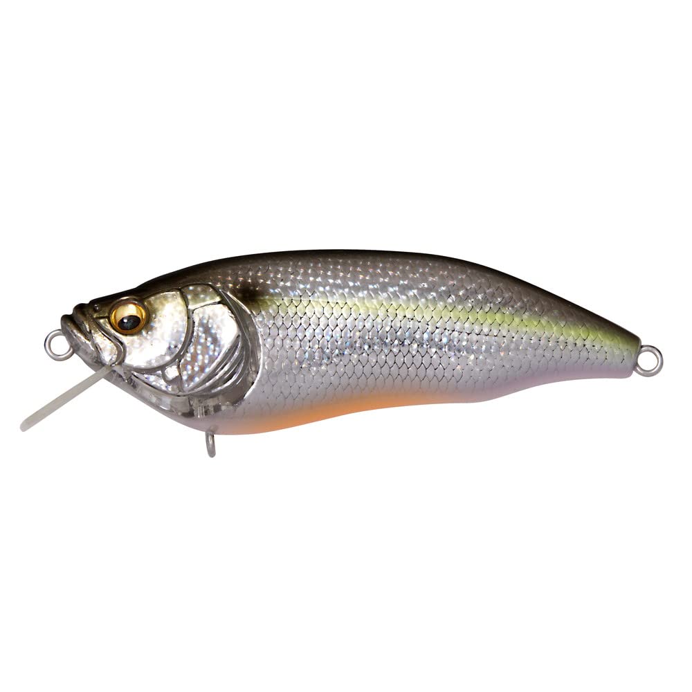 

Megabass IXI FURIOUS DD Sexy Shad 1.5