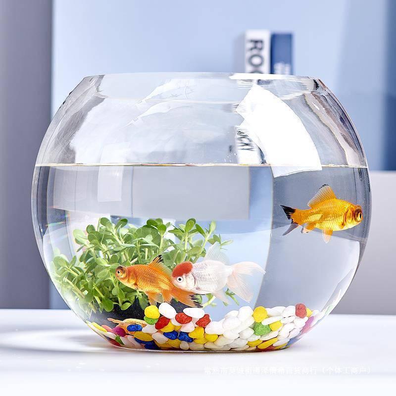 Jialei Dezhu Transparent Round Glass Fish Tank & Turtle Aquarium for Desktop Living Room