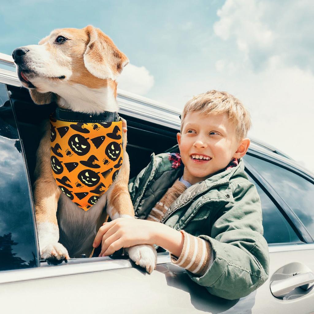 Halloween Reversible Pet Scarf
