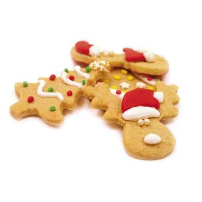Organic Christmas Cookie Mix 290 G