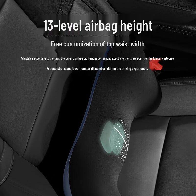 Philips Electric Lumbar Massager Cushion