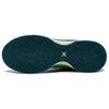 Nike LeBron NXXT Gen EP DR8788-301