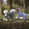 Pet Dog Raincoats Suitable for Large Medium and Small Dog Clothes Windproof and Waterproof Puppy Rainwear