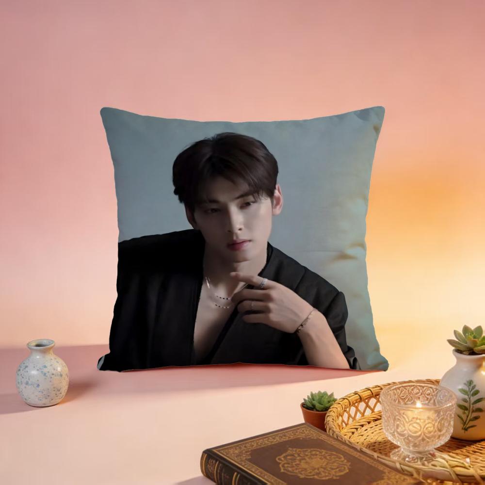 

Hot CCha Eun Wooable Cushion Cover Premium SkinFriendly Pillow Case MultiPurpose for Home Office Travel 30X30cm