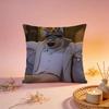 Stylish TThe Bad Guysable Cushion Cover Comfortable Durable Pillow Cover MultiScene for Home Office Car Sofa