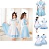Elegant Alice In Wonderland Costume With Breathable Fabric And Exquisite Workmanship