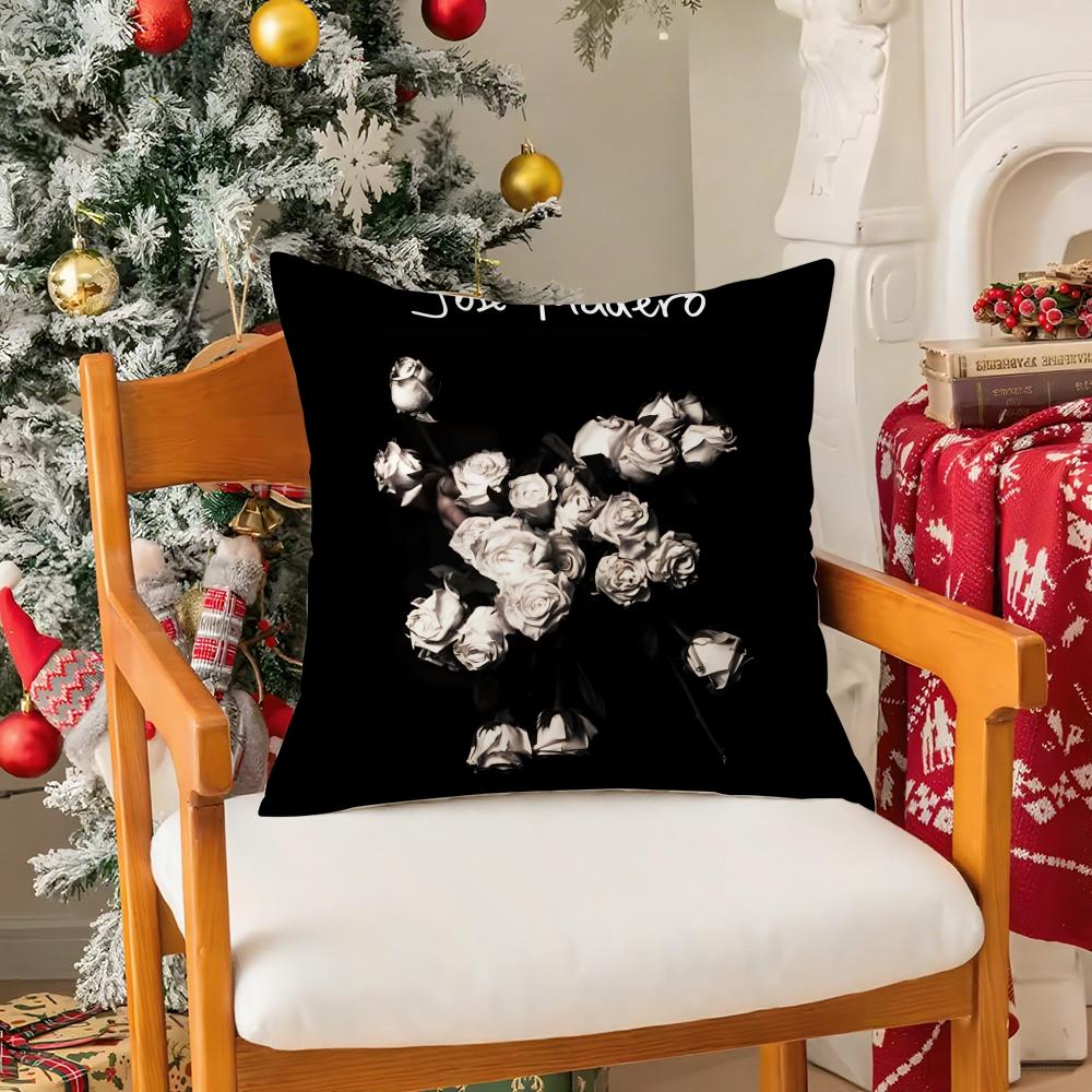 

Panda Pendejo Jose MaderoSinger Pillow Case Silky Short Plush with Invisible Zipper Dustproof Sofa Cushion Cover for Home Decor 30x30 cm