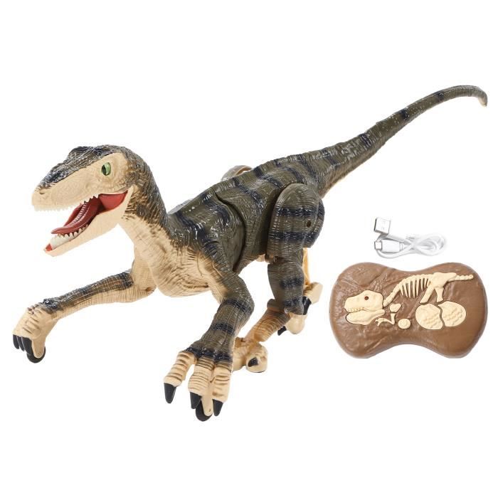 Dinosaure télécommandé - Akozon - Vélociraptor - Grand - Rechargeable - 2.4G sans fil