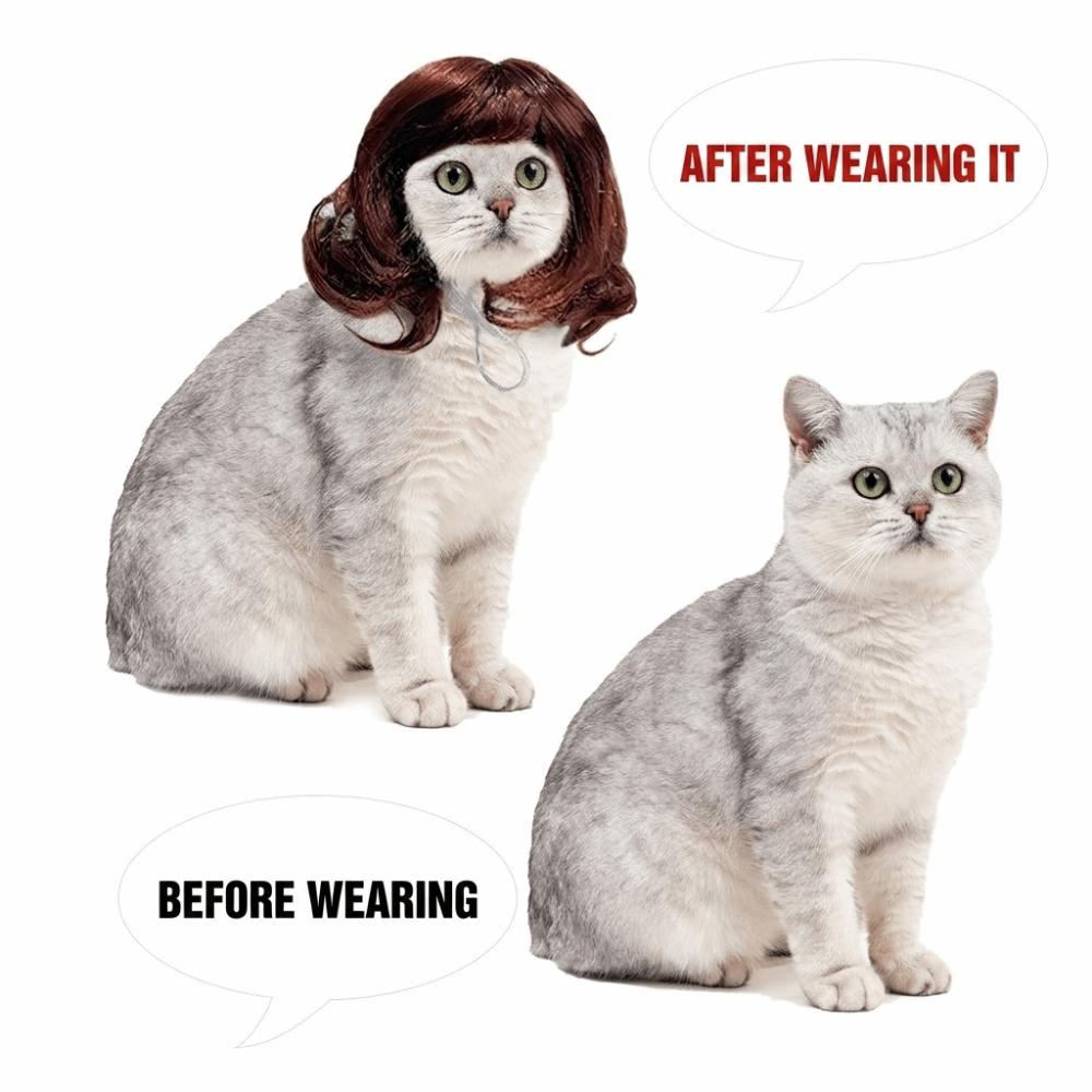 Große Welle Katze Kurzes Lockiges Haar Verstellbar Hairstyle für Haustiere Haustierbedarf Haustierperücken Cosplay Requisiten