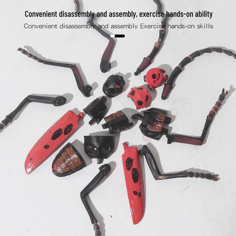 Children's Cross-Border Animal Beetle Model - Realistic Solid Plastic Insect Toy