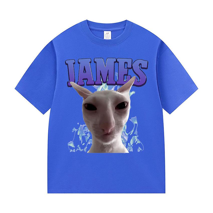 James IAMES Funny Cat Meme Tshirts Stupid Joke Gifts Cat Lover short sleeve tshirt Unisex Women fashion Oversized Cotton T Shirts