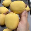 Crunchy Sesame Banana Squishy Stress Ball Fidget Toy Crispy Squishy Squeeze Ball Handmade Round Blocks Filled Asmr For Adult