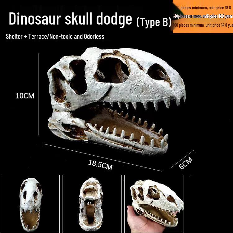 Akril Hüllőtenyésztő Doboz Dekoratív Koponyával