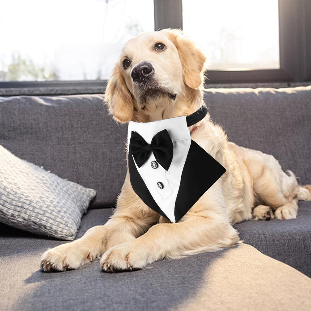 tuxedo dog collar